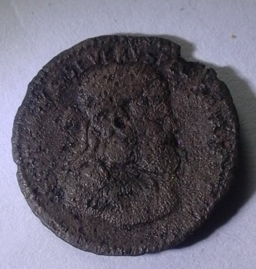 Knoflík Septimius Severus