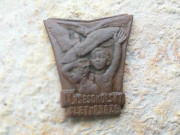 Odznak IX všesokolský slet v Praze z lesa