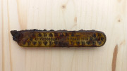 Nožík XI všesokolský slet 1948