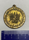 Veteránská medaile 1909