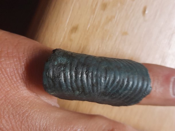 Bronzový prsten?
