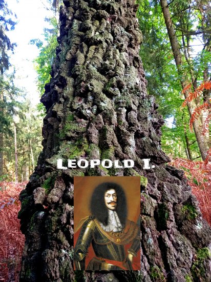 Leopoldův trojníķ.