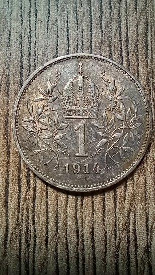 1 koruna FJ 1
