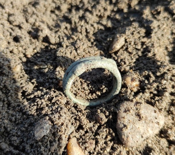 Bronzový prsten - Hlavy hada