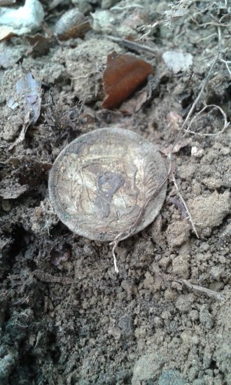 Zemská mince