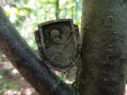 Lesní odznak