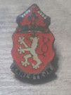 Odznak Karlštejn