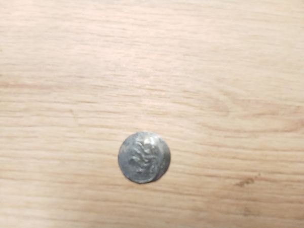Mince stříbrná