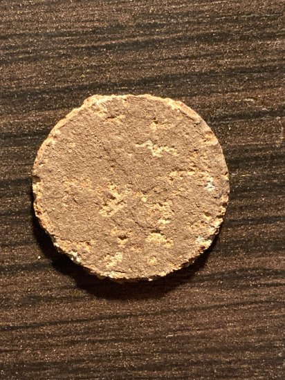 Nalezená mince v Modřanské rokli