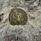 František II. 20 Kreuzer 1815/B. Kemnica. Ag.