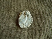Keltská mince (?)