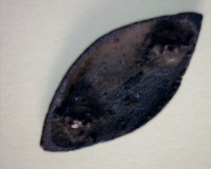 Falera ve tvaru olivky  mm 37 x 17