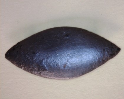 Falera ve tvaru olivky  mm 37 x 17