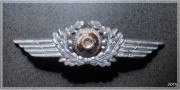Kokarda Luftwaffe