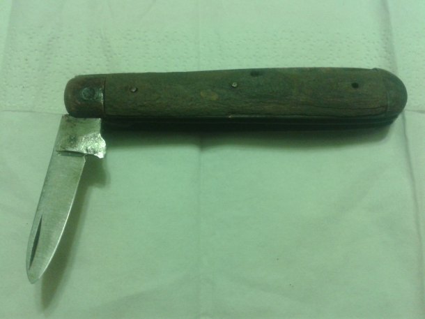 Nožík lesní (Houbařský)