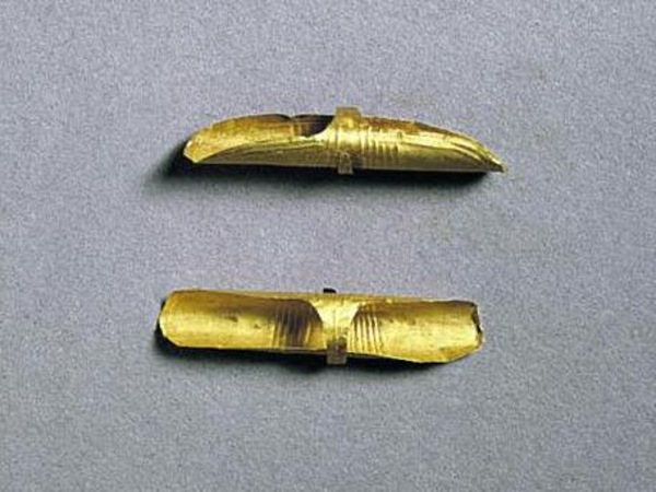 Detektorem nalezená náušnice, patří k nejstarším zlatnickým pracem v Británii