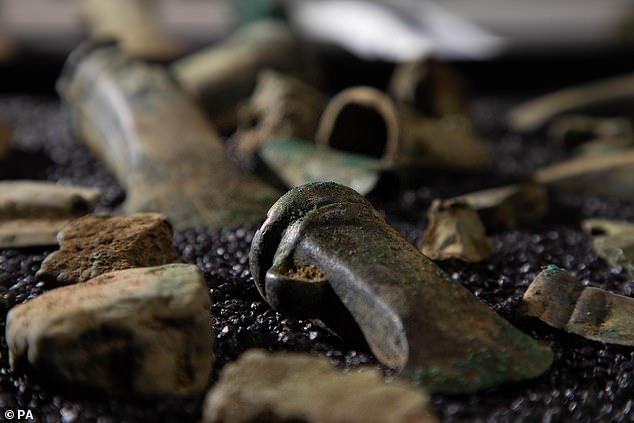 Der erste und sofortige Lebensfund eines angehenden Archäologen: Hunderte von Waffen und Werkzeugen aus der Bronzezeit