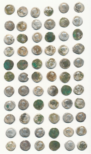 21. 9. 2014 Houbařka našla 102 římských mincí