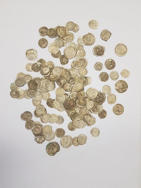 Hund in Polen entdeckt einzigartiges Depot mit mittelalterlichen Münzen