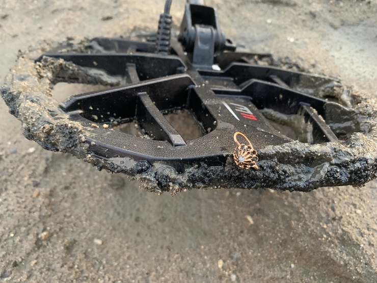 Testfeld III: Minelab Manticore - auf dem Strandweg