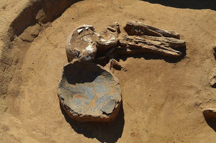 20 Mär 2007 Bei Ausgrabungen wurde ein Schädelteil entdeckt