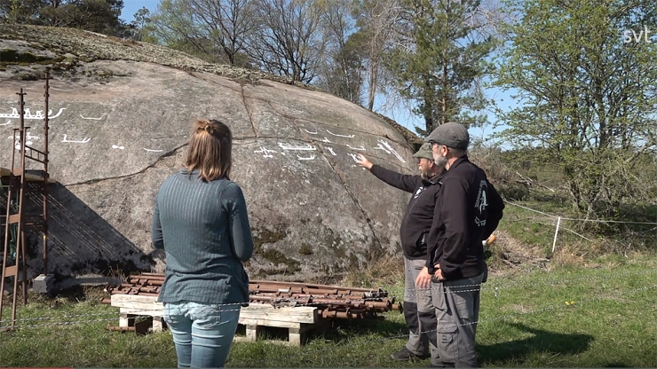 2700 Jahre alte Petroglyphen, die sich unter dem Moos verstecken