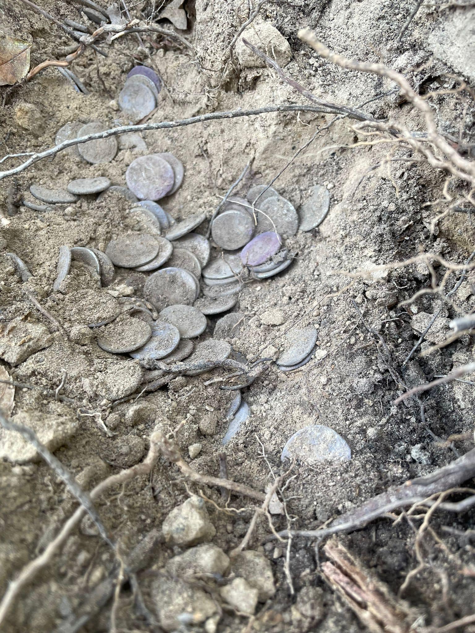 Er fand über 2.000 Jahre alte römische Münzen im Wert von Hunderttausenden; er verzichtete auf die Belohnung