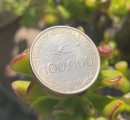 Turecká republika (1923&ndash;současnost) 100 000 Lira
