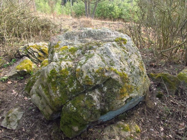 Památný kámen Wilhema Ofenheima