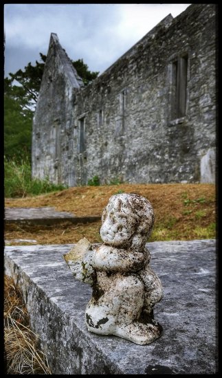 Opatství Muckross Abbey, Irsko