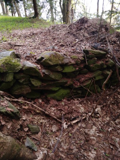 Zbytek kamenné zíďky v lese