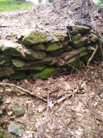 Zbytek kamenné zíďky v lese